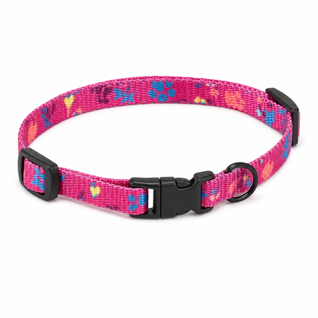 Pet Collar - main view